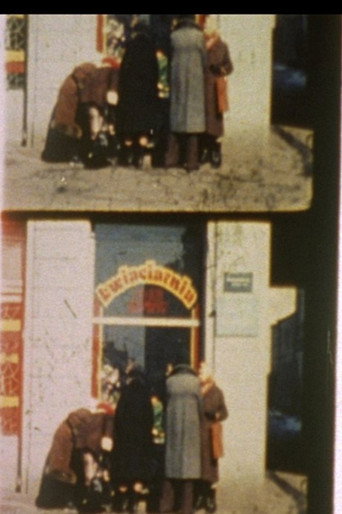 Notes for a Polish Jew (2012)
