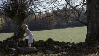 Galeria 5 - Violette