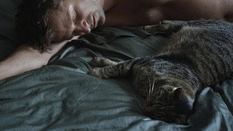 Tomcat media image
