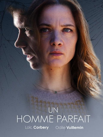 Un homme parfait (2019)
