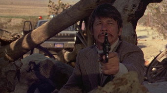 #5 The Stone Killer