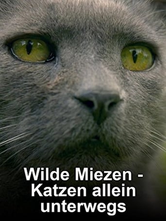 Poster of Wilde Miezen - Katzen allein unterwegs