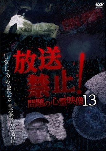 Broadcast Prohibited! Troubling Supernatural Footage 13 (2019)