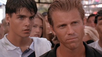 The Break (1995)