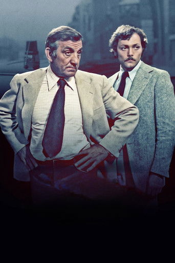 The French Detective poster 6