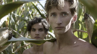 In a Future April (The Young Pasolini) (2020)