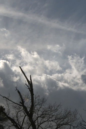 Behind the Forest Line