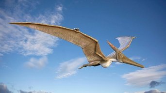 Sky Monsters - S1E01
