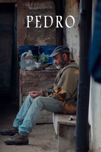 Pedro poster
