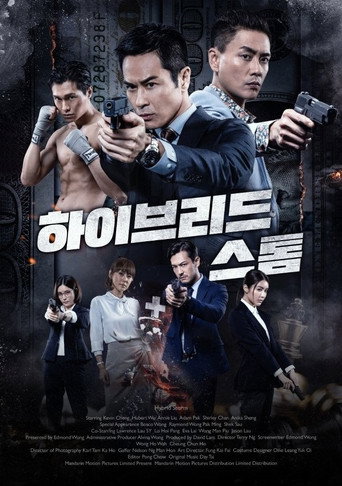 하이브리드 스톰