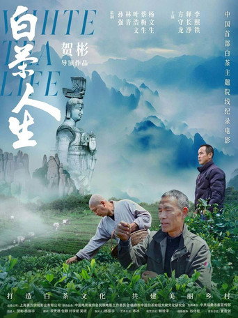 白茶人生