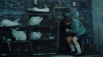 The Rabbits' House (2020)