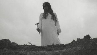 Nameless Flower (2026)