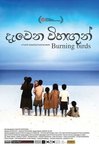 Poster för Burning Birds