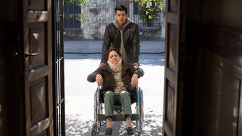 Galeria 1 - El motoarrebatador