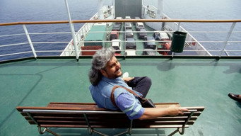 Pino (2025)