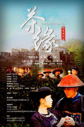 茶缘 poster