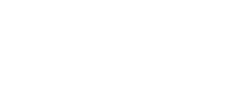 Solo logo