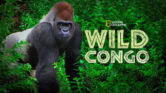 #4 Wild Congo