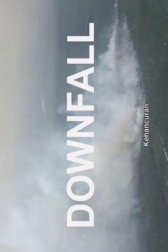 Poster for Downfall