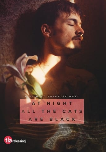 Poster för At Night All the Cats Are Black