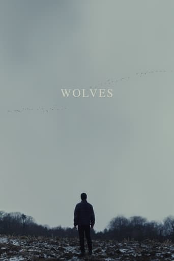 Wilki / Wolves