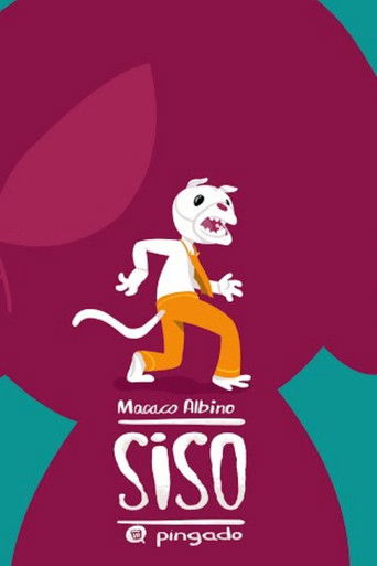 Macaco Albino: Siso