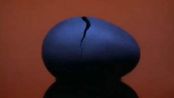 #7 EGG