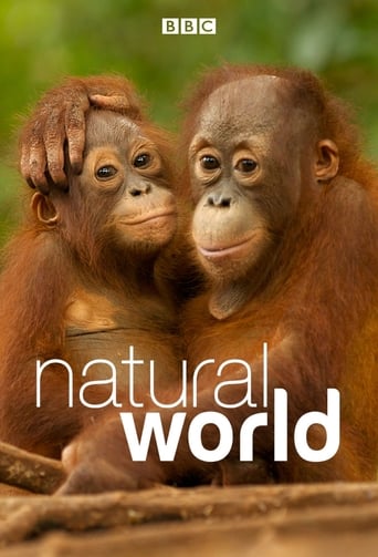 Poster of Natural World