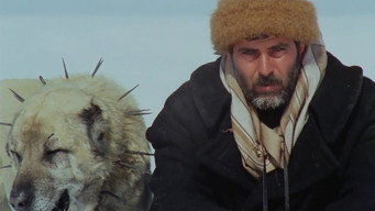 Remedy (1983)