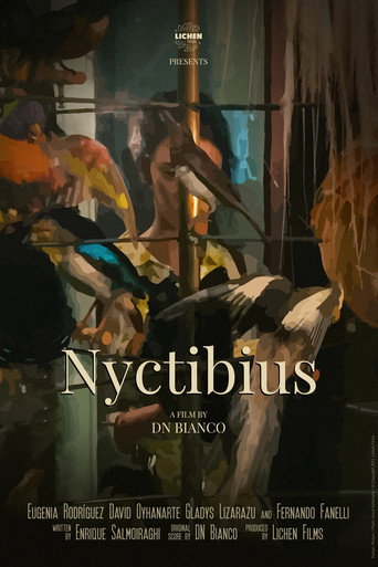 Nyctibius (2024)