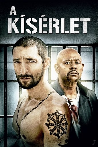 A kísérlet