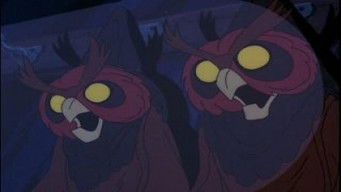 Episode 1 — Watch Out! The Willawaw!