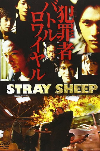 STRAY SHEEP