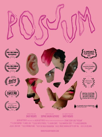 POSSUM (2024)