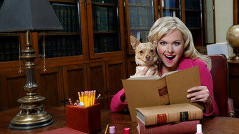 Legally Blonde: The Musical backdrop 9