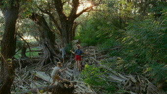 Short Summer (2025)