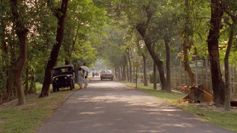 #138 Яскравий літній день