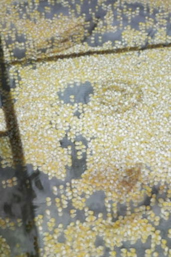 Who Is Afraid of Ideology? Part 3 Micro Resistances (2020)