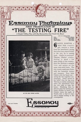 Poster of The Testing Fire