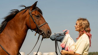 Pferd am Stiel (2026)