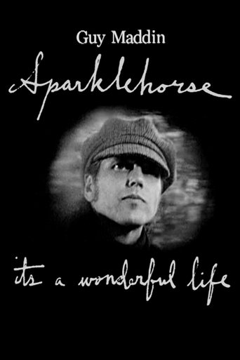 Poster för It's a Wonderful Life: Sparklehorse