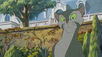 #11 Felidae