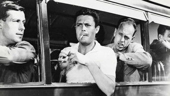 Gli eroi della domenica