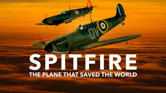 #7 Spitfire