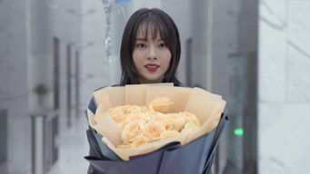 第29話：Episode 29