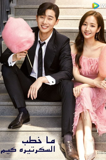 What's Wrong with Secretary Kim — Posters 22