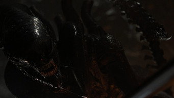 #242 Чужий: Ромул