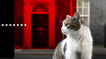 7 Times Larry the Cat Caused Mischief