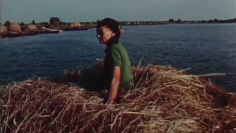 Сон (1988)
